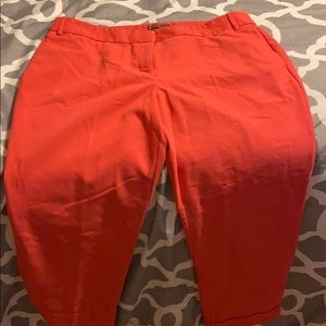 Capri dress pants